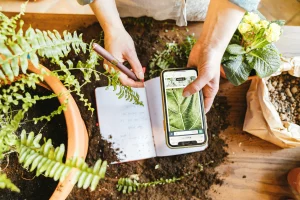 IT Support for Workspaces in Utah