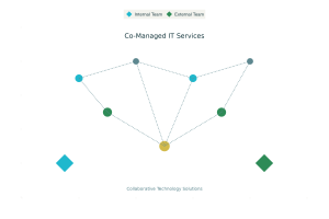Co-Managed IT Services Explained